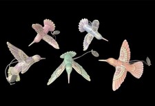 Lena Liu's 5 Hummingbird Precious Jewels Blooming Lily Bradford Edition - New picture