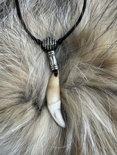 COLMILLO DE COYOTE Amuleto Talisman para Eliminar obstaculos y romper brujeria picture
