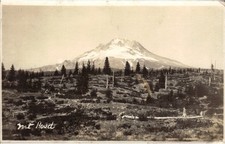 Mount Hood Oregon AZO RPPC Mountain Forest Photo Postcard picture