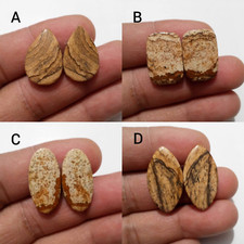 Gorgeous Picture Jasper Cabochon Mix Shape Loose Gemstone For Jewelry Making picture