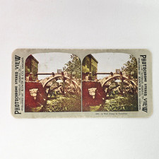 Vintage Kawin & Co. No. 280 A Well Pump In Palestine Stereoview Photo Card picture