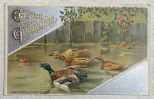 F2282 Postcard Easter Greetings John Winsch 1911 Ducks on a Pond picture