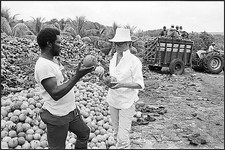 Patrice Wymore Flynn is seen at her home the Errol Flynn Estate ci- Old Photo 5 picture