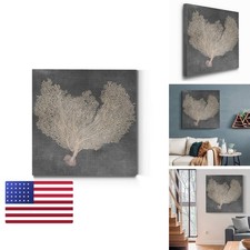 Renditions Gallery Square Canvas Wall Art Natural Sea Fan VI 24x24 picture