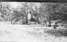 J79/ St Petersburg Florida RPPC Postcard c1910 Man Palms Garden 132 picture