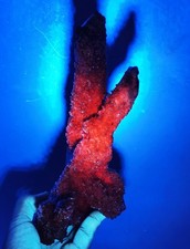 New Rare NATURAL skeletal QUARTZ Crystal Cluster With Calcite Mineral Specimen picture