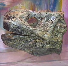 Dinosaur Skull stone carving Collectible Display Sculpture, Approx. 5 in Long picture