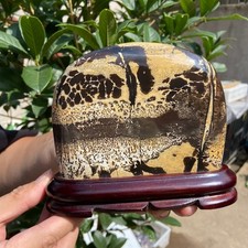 1010G   Beautiful Natural Chinese Dendritic Limestone Picture Stone Guohua-Rare picture