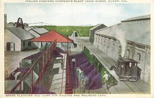 Italian Vineyard Co. Guasti CA Plant & Grape Dump Postcard c1910 Advert picture