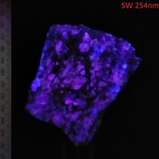 Fluorite Garnet Biotite Albite fluorescent short wave specimen Sparta US 0.48kg picture