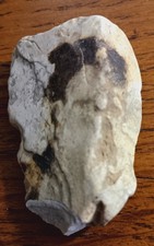 NATIVE AMERICAN ROCK ART, ARKANSAS RIVER, SAND SPRINGS, OK picture