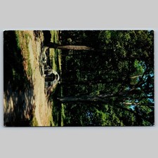 Postcard Spangler's Spring Gettysburg Pennsylvania Historical Site picture
