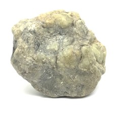 Washington Botryoidal Jade Stone Green Bubble Nephrite Jade Specimen WA State #2 picture