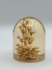 Daisyglas 3” Lucite Dried Straw Flower Paperweight 1970s Vintage Retro Boho picture