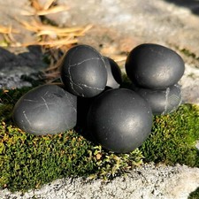 Shungite Stone -Authentic Natural Russian Black Rare mineral from Karelia, Tolvu picture