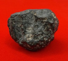 NWA 869 Meteorite, Chondrite Meteorite, Astronomy Gift, Space, 27.65 Grams picture