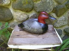 DUCKS UNLIMITED 1995 - 96  SPECIAL EDITION  CANVASBACK  DECOY WITH MADALLION picture