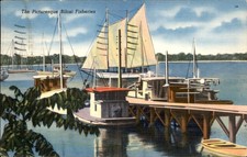 Biloxi MS Shrimp Trawlers M. C. T. Co. c1950s-60s Vintage Postcard picture