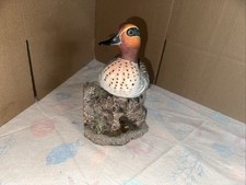 Green Wing Teal By Ma Joe Feng picture