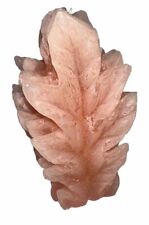 Vintage Candle Williams-Sonoma Autumn Oak Leaf Home Decor 6in New  picture