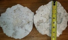 Polished set  Pair of White Geode halfs Rock Display Specimens Druzy Approx 8 in picture