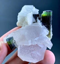 194 Carat Green Cap Tourmaline Crystal With Quartz Specimen From Pakistan  picture