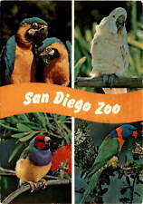 San Diego, California, March 14, 1981, San Diego Zoo, 300 exhibit Postcard picture
