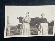 1920'S PHOTOGRAPH COUNTRY WOMEN LOOKING AFTER FAMILY COW P136 picture