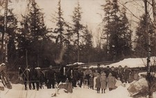 RPPC Tigerton Wisconsin Ruppenthal Logging Camp Roger Petko Photo Postcard I6 picture