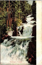 Washington Torrents River Rapids Forest Cancel 1908 Antique PM Vintage Postcard picture