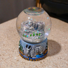 Mount Rushmore National Memorial Snow Globe Souvenir, National Parks Theme picture