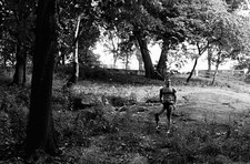 Black and White Photo/ Hayden, Central Park picture