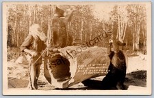 K66/ Harrison Michigan RPPC Postcard c40-50s Spikehorn bear Den Man 216 picture