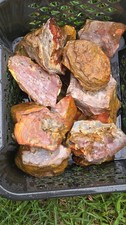 Rough Mozarkite Lot 1 Pound Lb Red White Pink Yellow Larger Pieces Lapidary picture