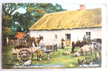 C. 1910s Antique Postcard Irish Farmyard Farmer Cottage Unposted picture