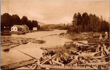 Moose Pond Denmark ME Postcard Early Log Drive Lumber Industry View picture