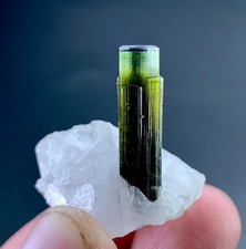 55 CTs Green Cap Tourmaline Crystal With Quartz specimen from Afghanistan picture