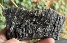 ☘️RR⛏️: Druzy Sparkly Smoky Quartz Arizona Petrified Wood, 10.3 Oz. picture