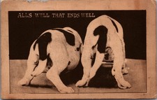 1911 Humorous Postcard Dogs 