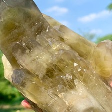 2.13LB Natural Pineapple Citrine Smoke Backbone Quartz Cluster Specimens Mineral picture