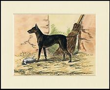 MANCHESTER TERRIER OLD STYLE DOG GREAT LITTLE DOG PRINT MOUNTED READY TO FRAME picture