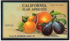 ORIGINAL CALIFORNIA FRUIT BOX CASE LABEL C1920 SAN JOSE APRICOTS RICHMOND CHASE picture