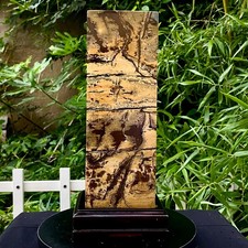 18.5LB Large Natural Chinese Dendritic Limestone Picture Stone Guohua column picture