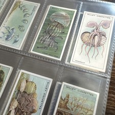 1928 Wills Wonders Of The Sea Full 50 Card Set Sleeved picture
