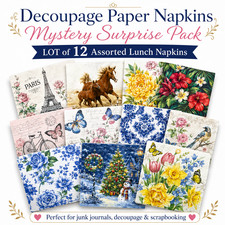 Decoupage Paper Napkins Mystery Surprise Pack - LOT of 12 Assorted Lunch Napkins picture