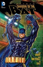 Batman: Shadow of the Bat Vol. 1 picture