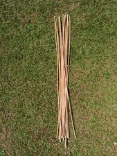 Rattan Cane Fresh Sticks 3pcs / Flexible / Natural (0.5-0.6 cm D / 40