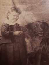 Antique 1890s Victorian Cabinet Card Photo Child in Pleated Dress & Shepherd Dog picture