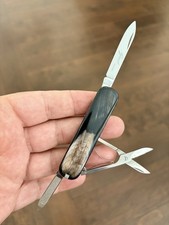 Ultra Rare / EXCELLENT - Victorinox Ambassador 74mm Buffalo Horn picture