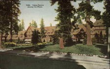 Tahoe Tavern California CA View Among the Pines c1910 Vintage Postcard picture